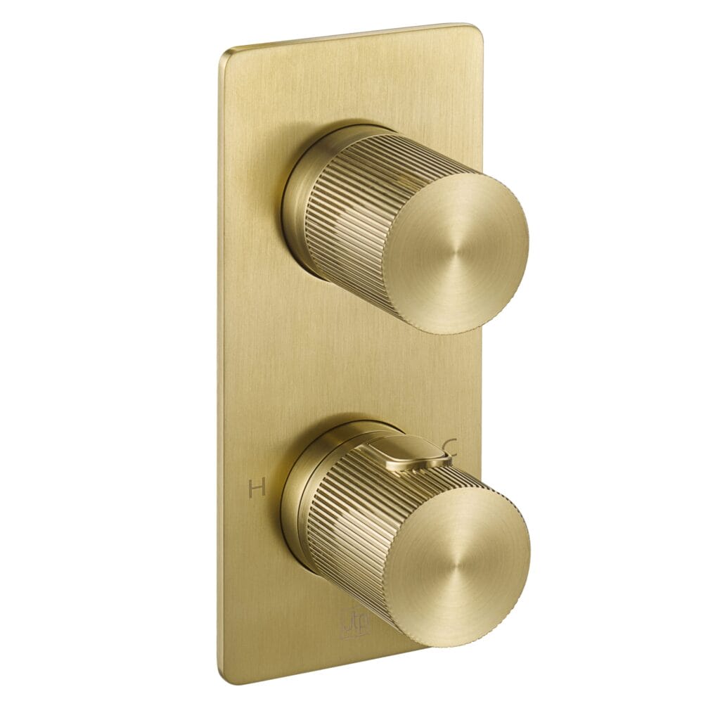 EVO Thermostatic concealed 2 outlet shower valve - Living Space Design